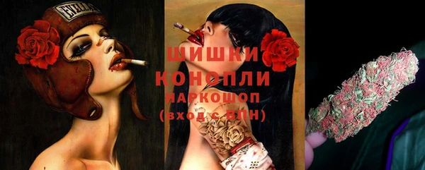 молекула духа Волосово