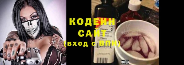 молекула духа Волосово