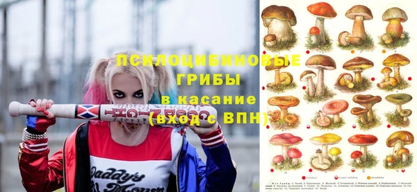 гидропоника Вяземский
