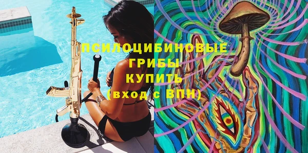 соль ск Володарск