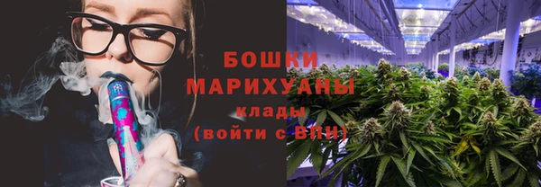 молекула духа Волосово