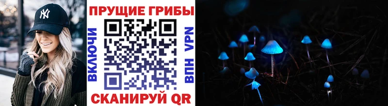 Купить Отрадное Псилоцибиновые грибы прущие грибы